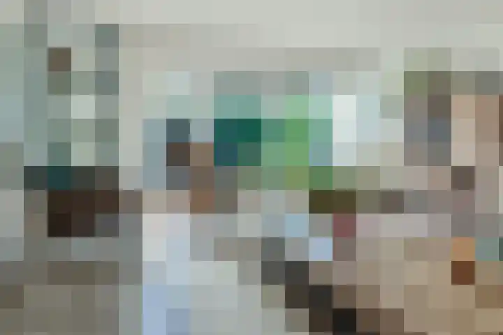 Zambezilaan 247 Purmerend thumbnail 15