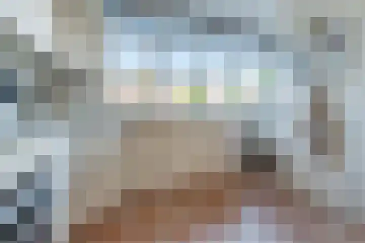 Zambezilaan 247 Purmerend thumbnail 20