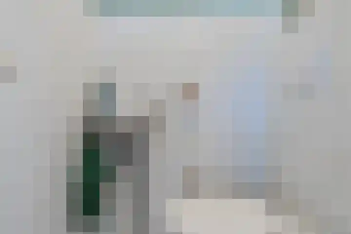 Zambezilaan 247 Purmerend thumbnail 23