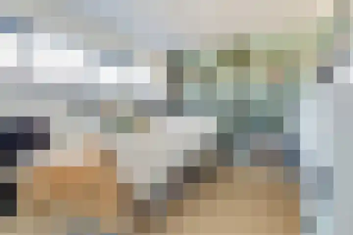 Zambezilaan 247 Purmerend thumbnail 25