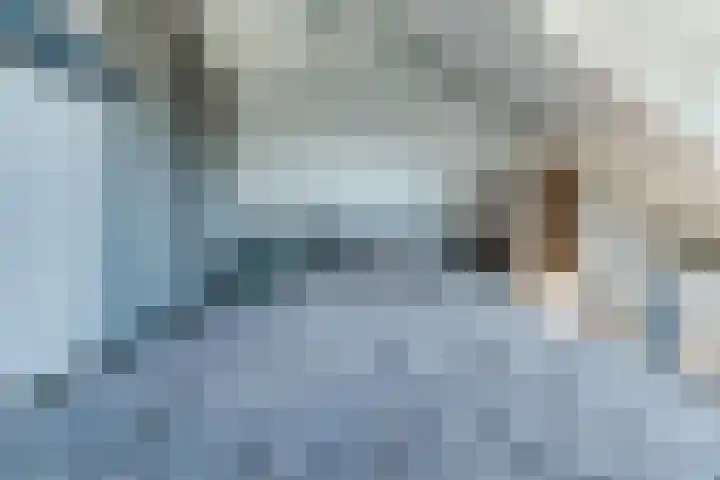 Zambezilaan 247 Purmerend thumbnail 42