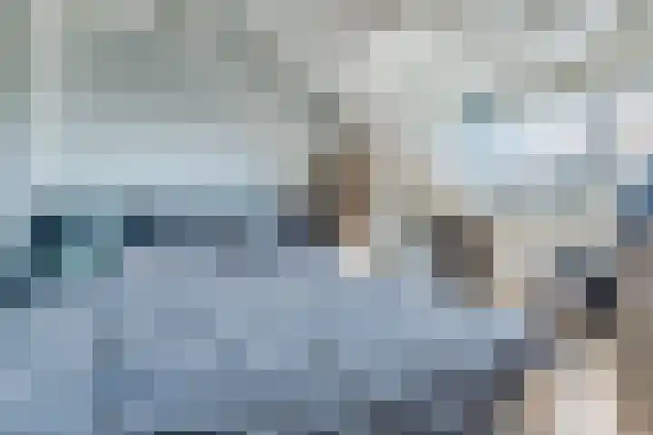 Zambezilaan 247 Purmerend thumbnail 43