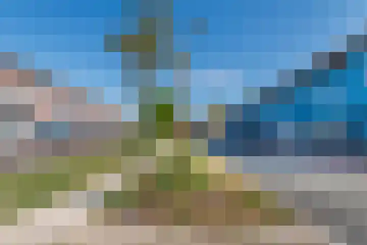 Zambezilaan 247 Purmerend thumbnail 50