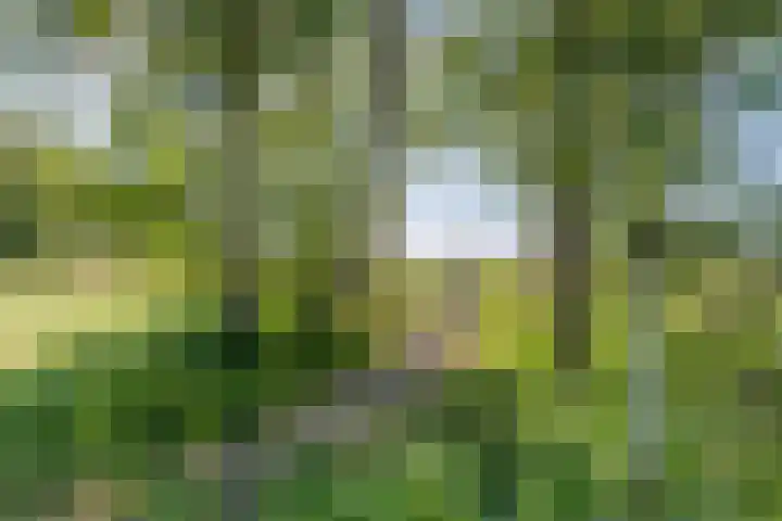 Zambezilaan 247 Purmerend thumbnail 51