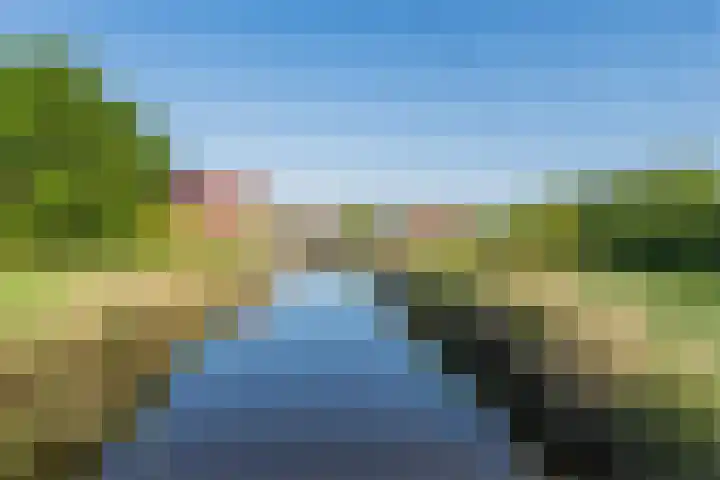 Zambezilaan 247 Purmerend thumbnail 53