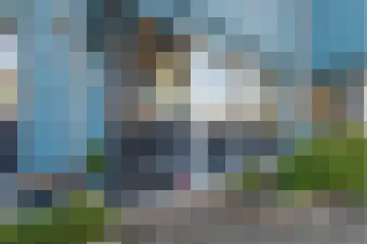 Zambezilaan 247 Purmerend thumbnail 6