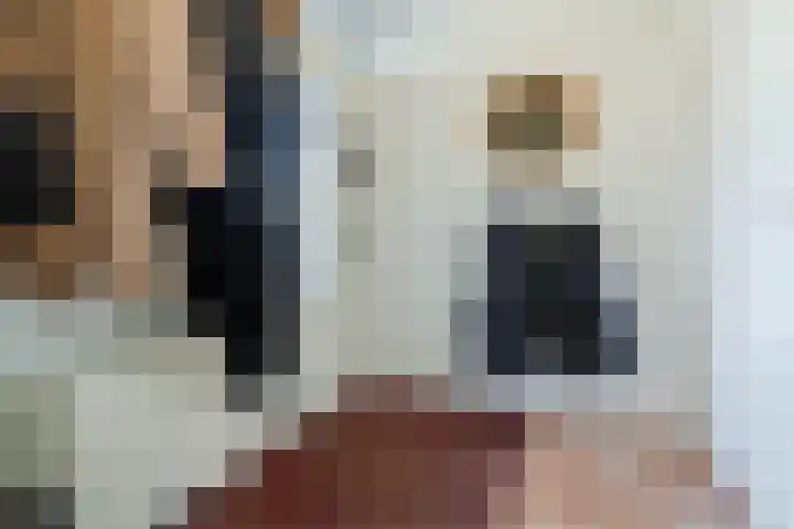 Zambezilaan 247 Purmerend thumbnail 7