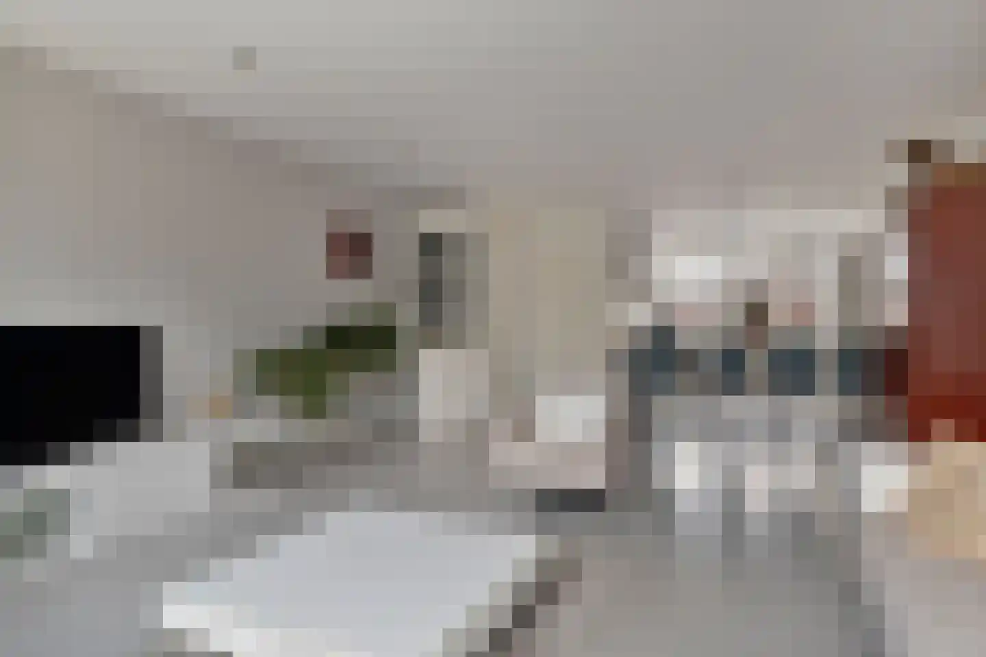 Zambezilaan 264 Purmerend thumbnail 13