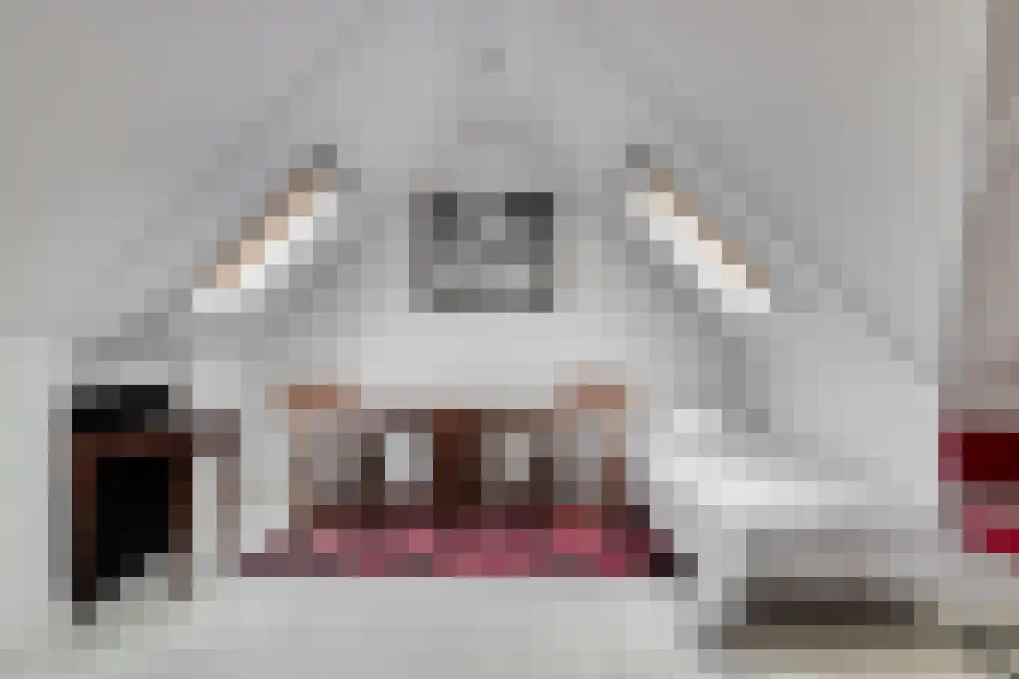 Zambezilaan 264 Purmerend thumbnail 26