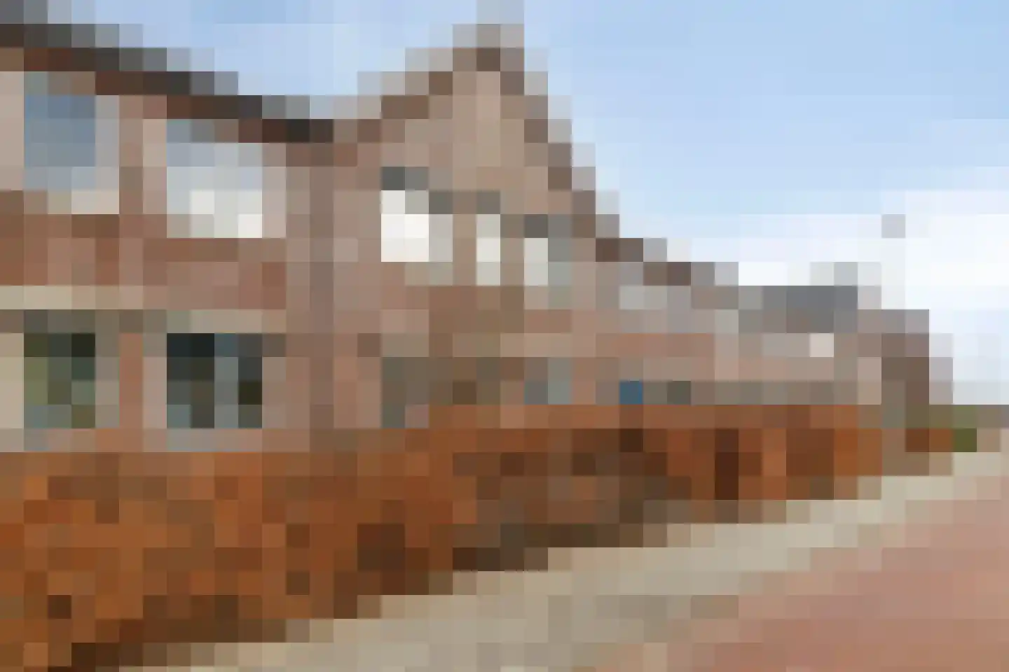 Zambezilaan 264 Purmerend thumbnail 8