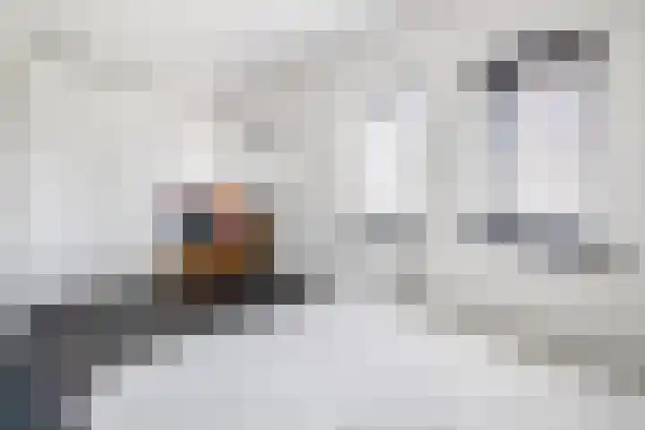 Zambezilaan 62 Delft thumbnail 37