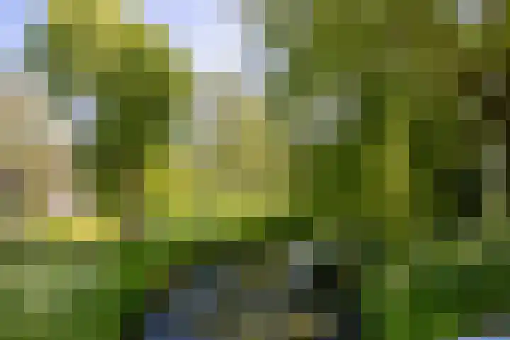 Zambezilaan 62 Delft thumbnail 40