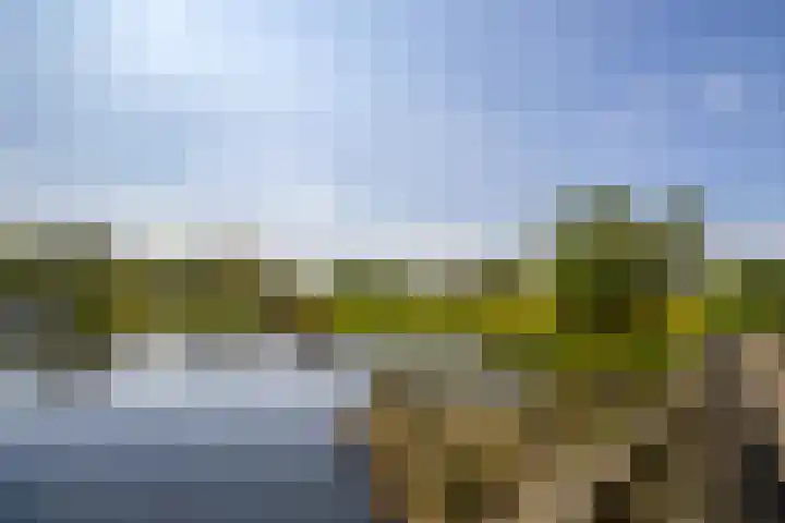 Zambezilaan 62 Delft thumbnail 41