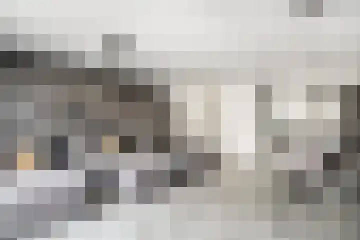 Zambezilaan 62 Delft thumbnail 7