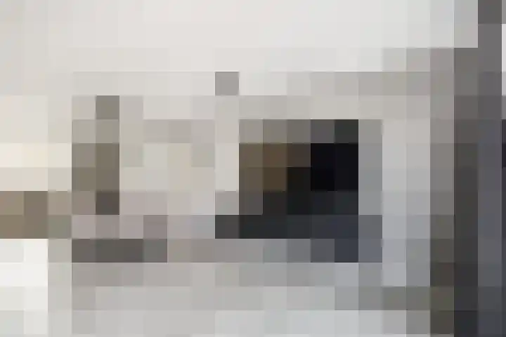 Zambezilaan 62 Delft thumbnail 9