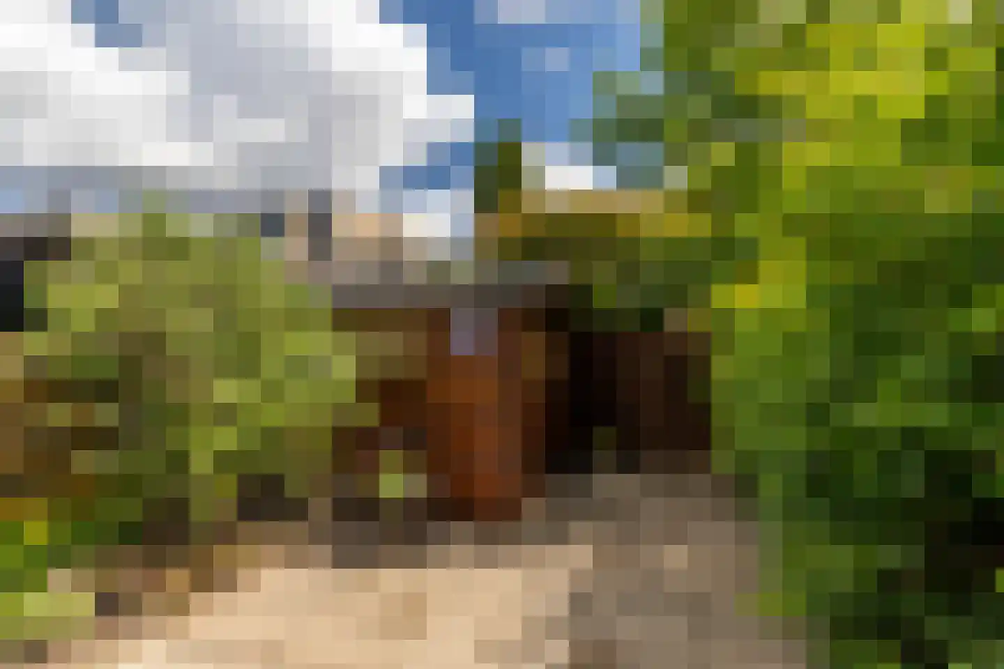 Zambezilaan 91 Delft thumbnail 19