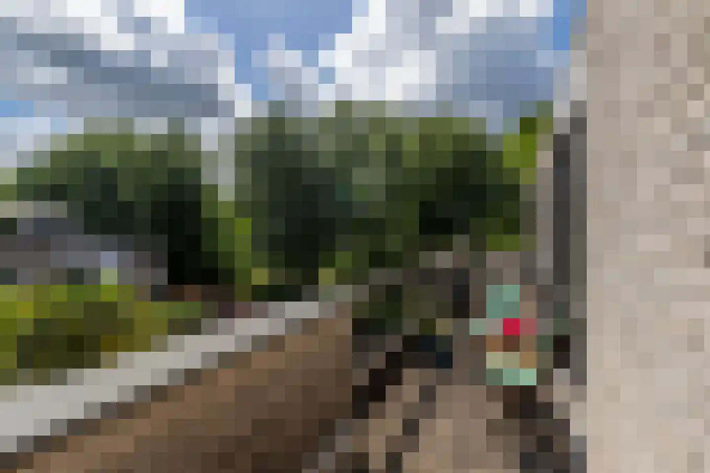 Zambezilaan 91 Delft thumbnail 38