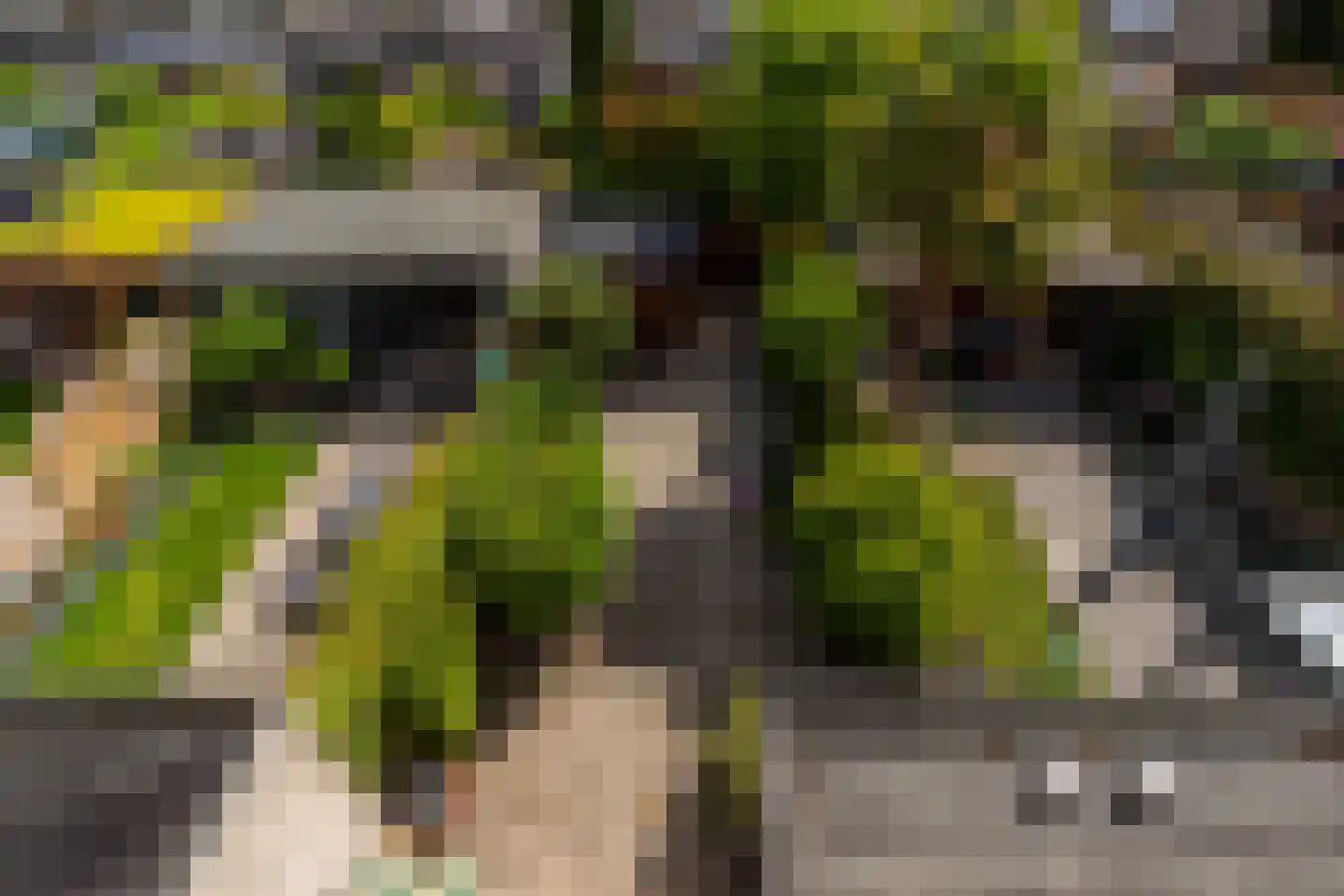 Zambezilaan 91 Delft thumbnail 40