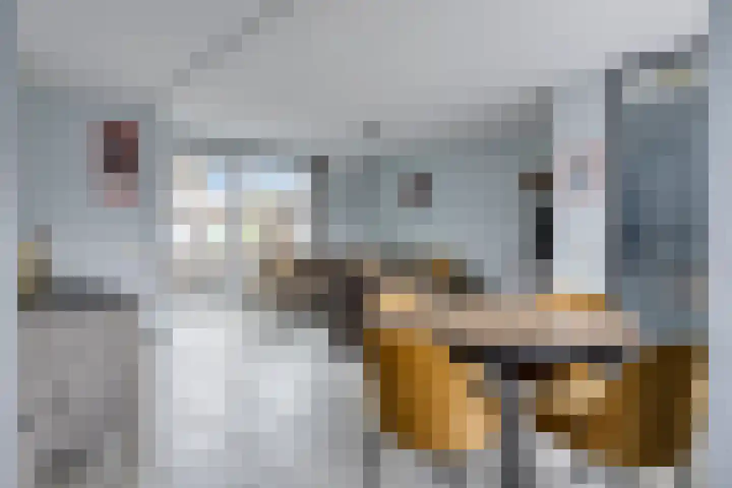 Zambezistraat 4 Spijkenisse thumbnail 10