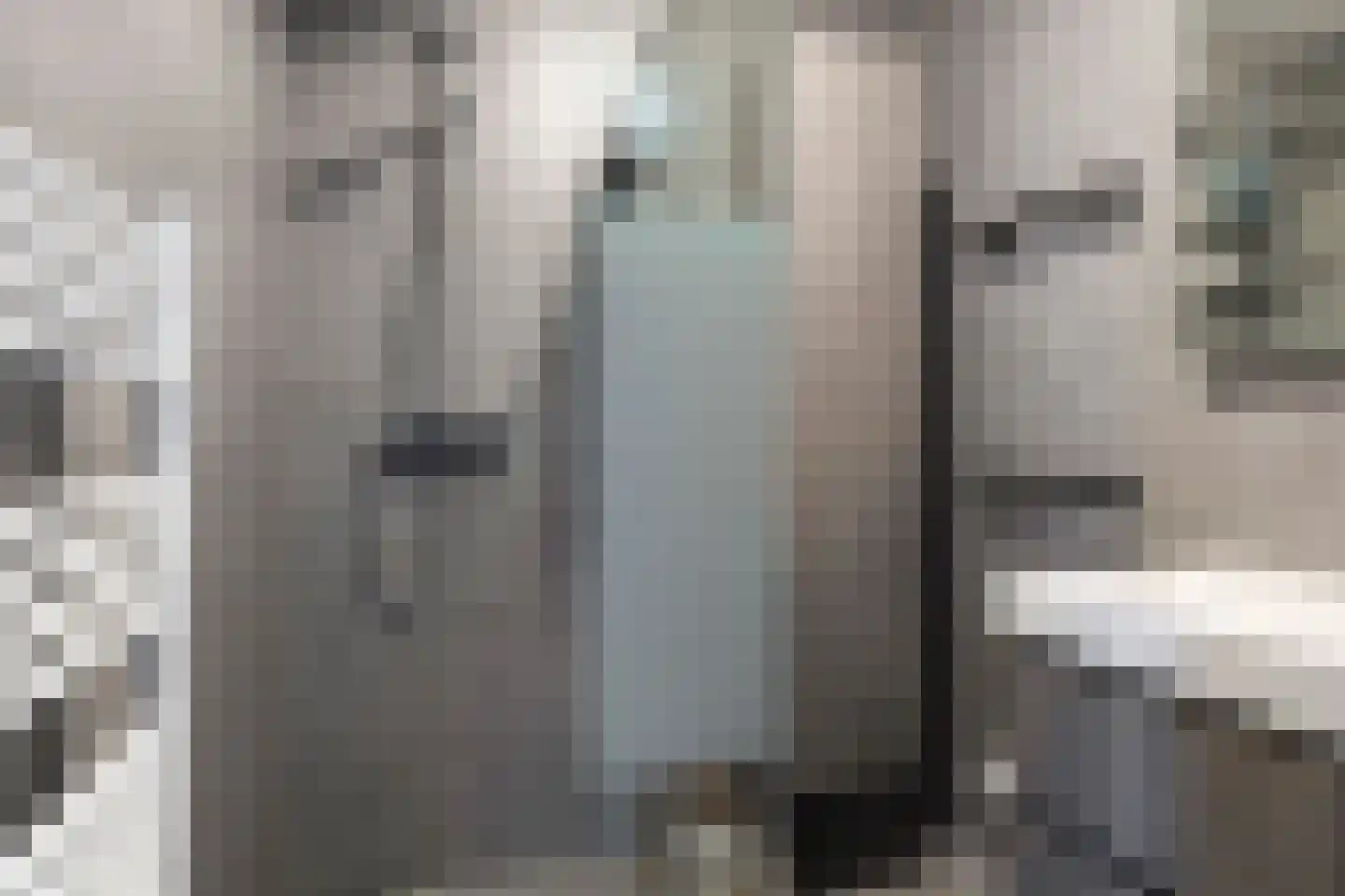 Zambezistraat 4 Spijkenisse thumbnail 14