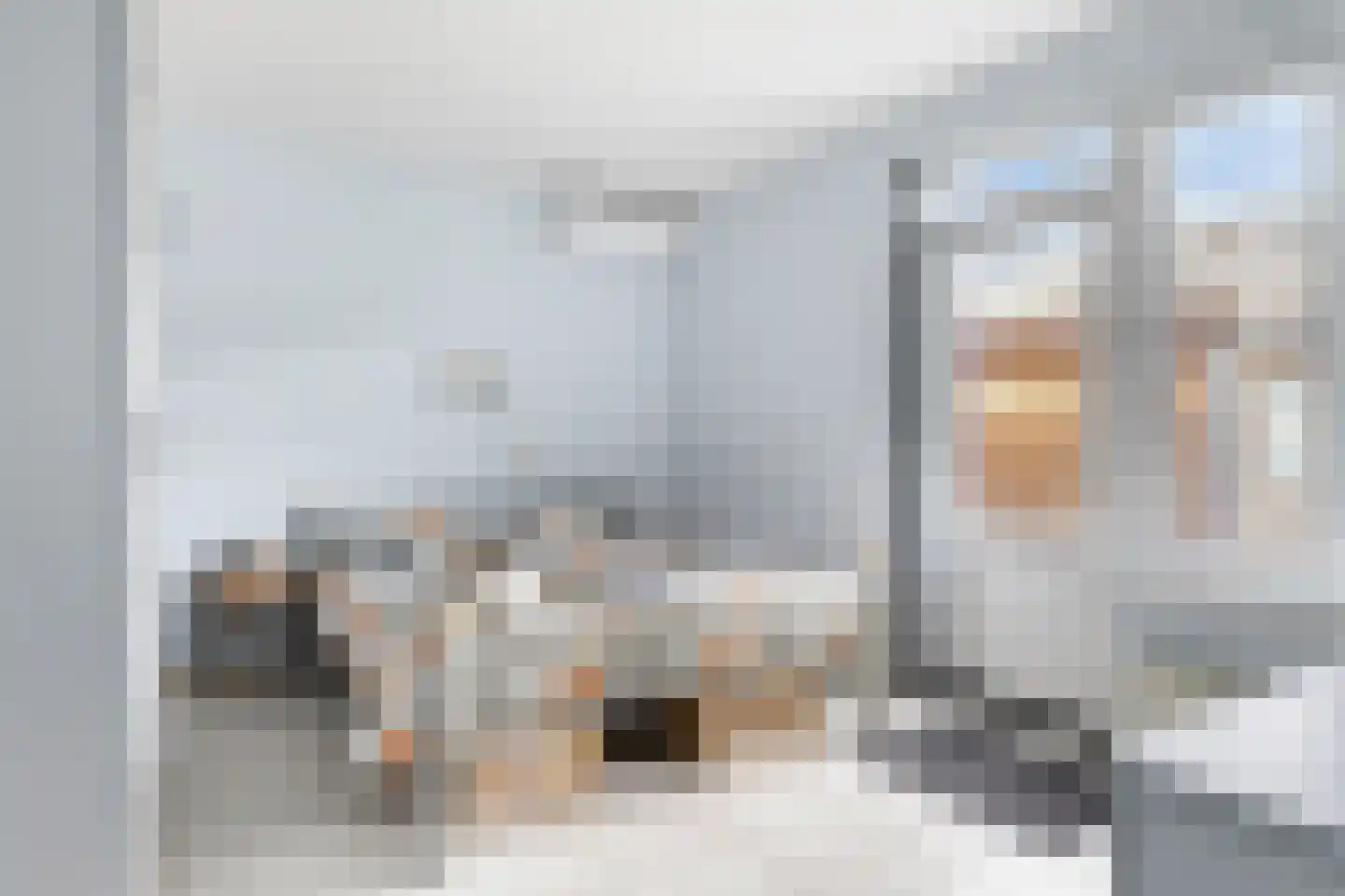 Zambezistraat 4 Spijkenisse thumbnail 15