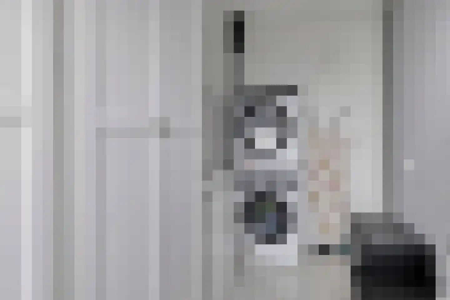 Zambezistraat 4 Spijkenisse thumbnail 22
