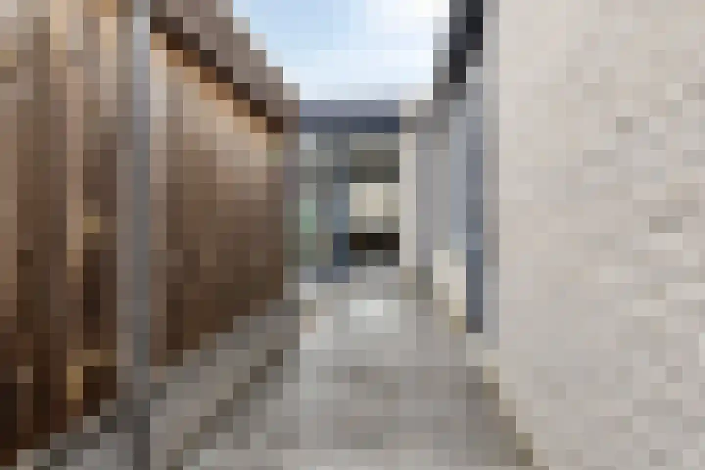 Zambezistraat 4 Spijkenisse thumbnail 26