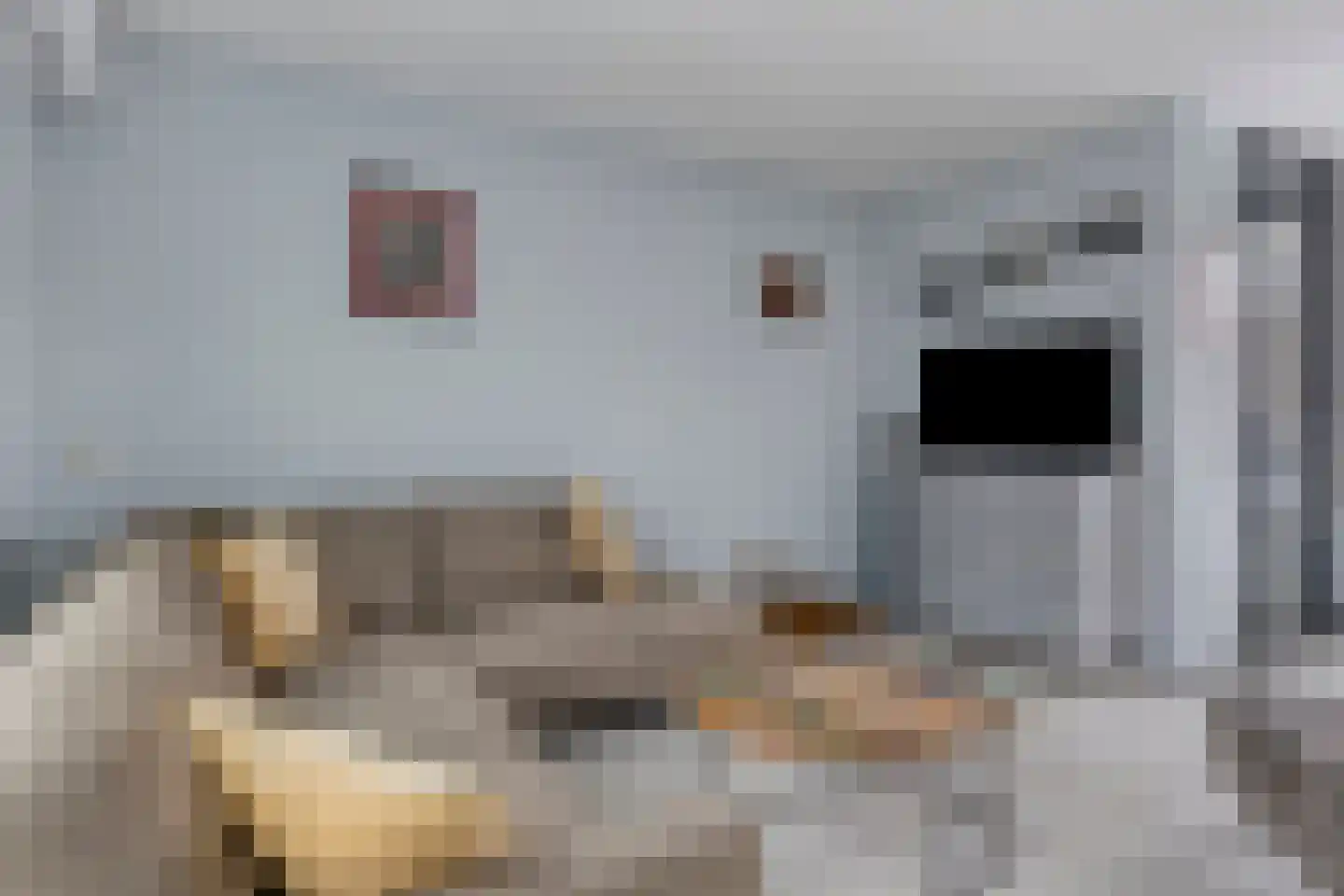 Zambezistraat 4 Spijkenisse thumbnail 5