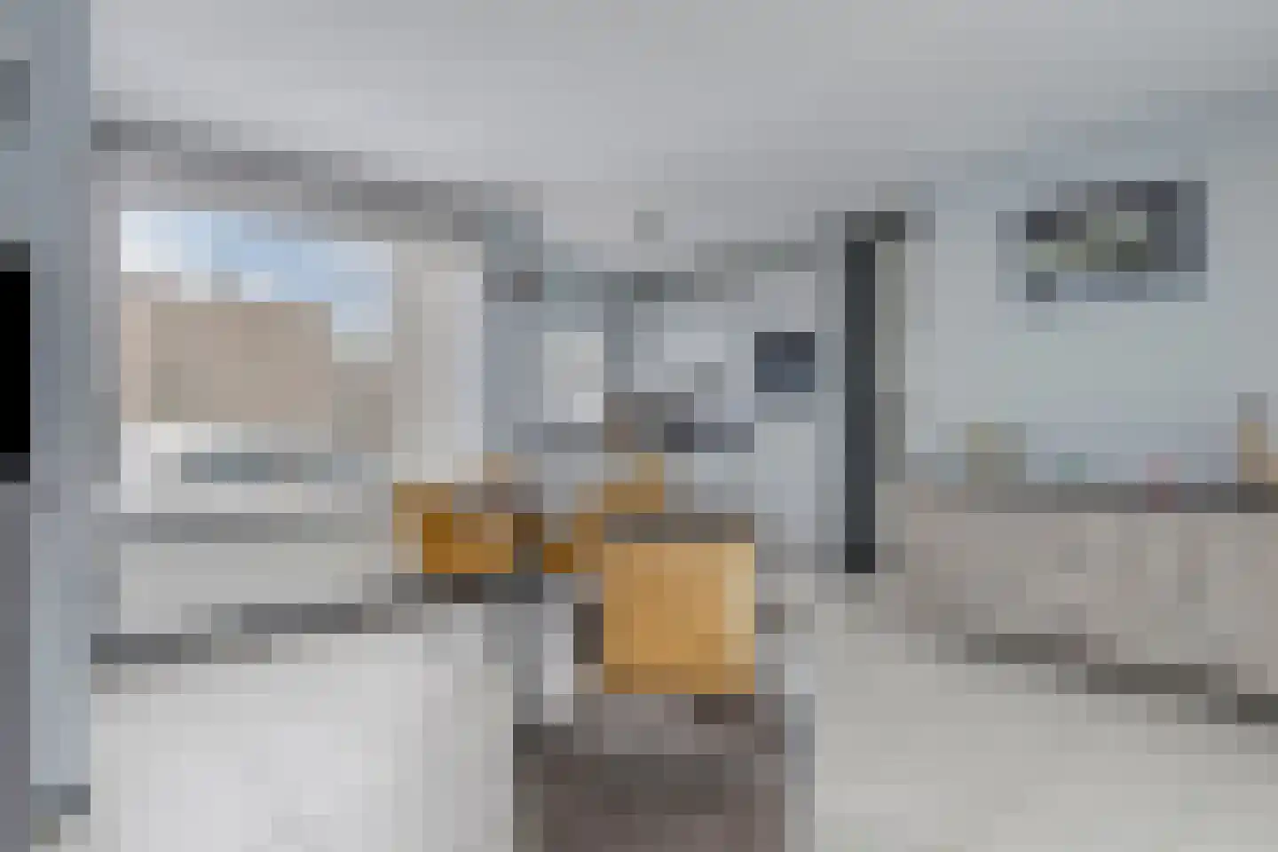 Zambezistraat 4 Spijkenisse thumbnail 8