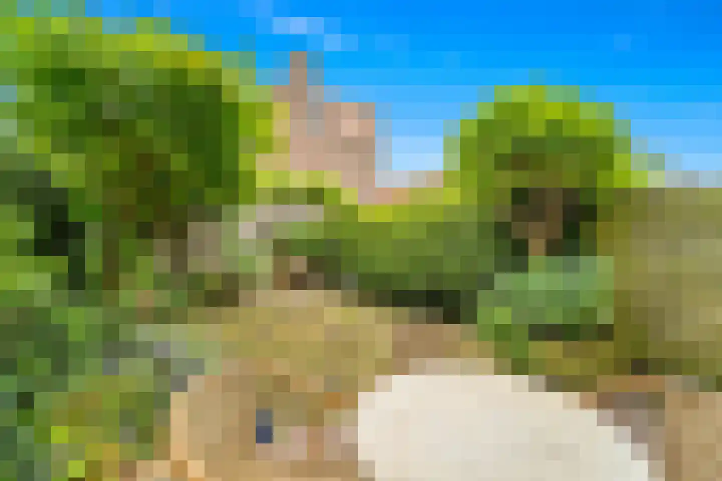 Zambiastraat 13 Delft thumbnail 9