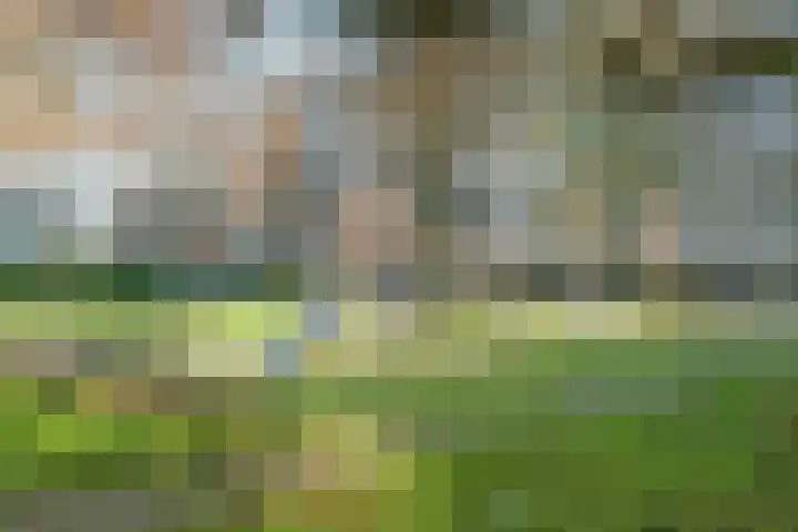 Zamenhofdreef 10 B Utrecht thumbnail 27
