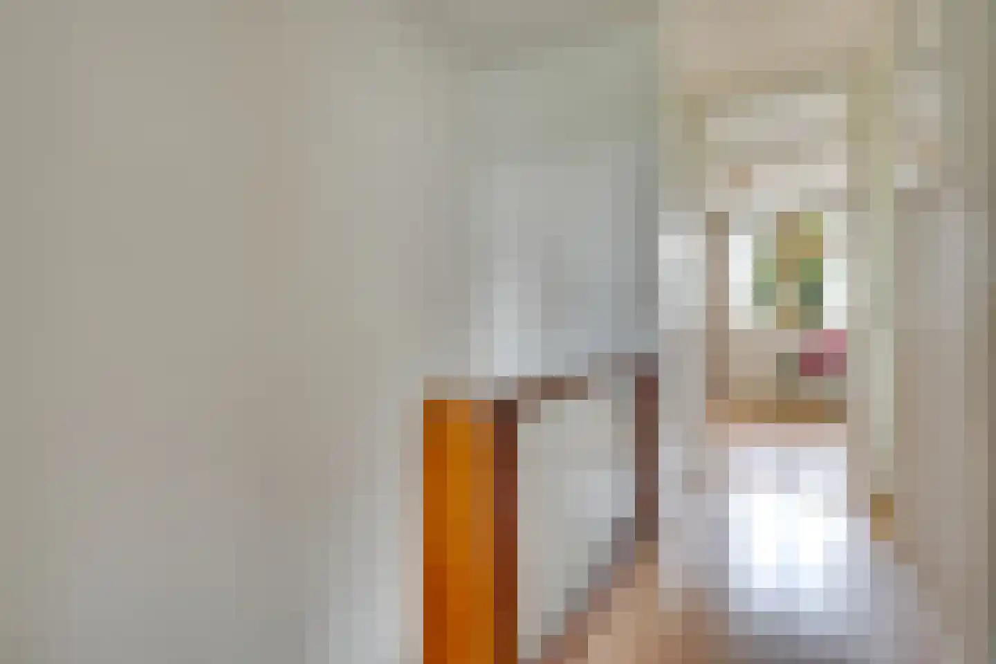 Zamenhofdreef 30 Utrecht thumbnail 32