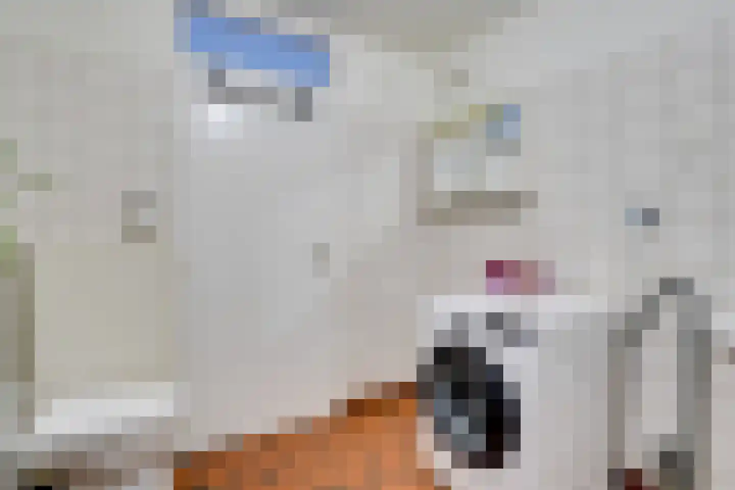 Zamenhofdreef 30 Utrecht thumbnail 46
