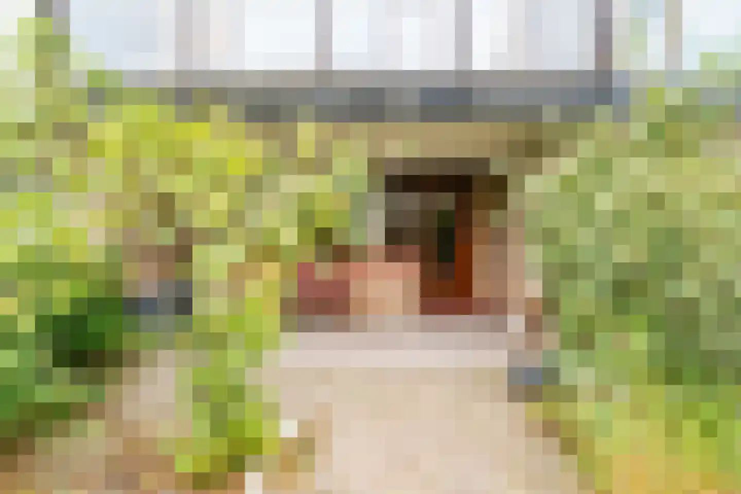 Zamenhofdreef 30 Utrecht thumbnail 7