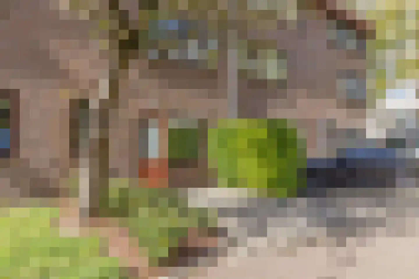 Zamenhofdreef 46 Utrecht thumbnail 13