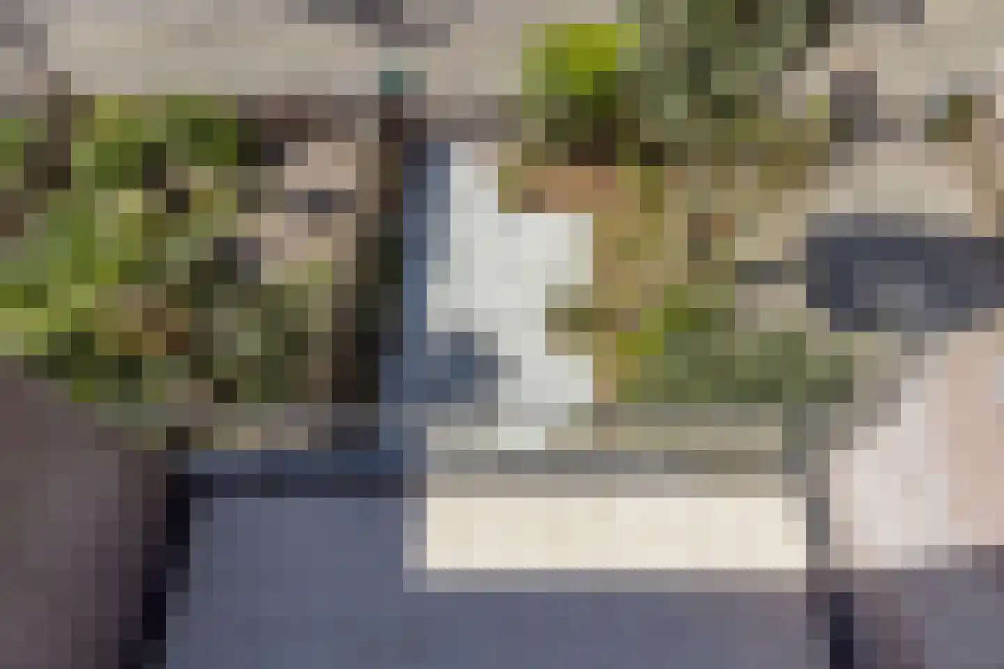 Zamenhofdreef 46 Utrecht thumbnail 38
