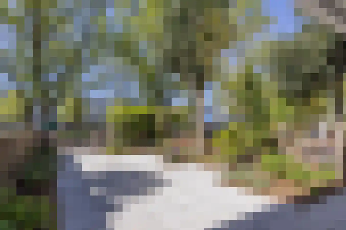 Zamenhofdreef 46 Utrecht thumbnail 47