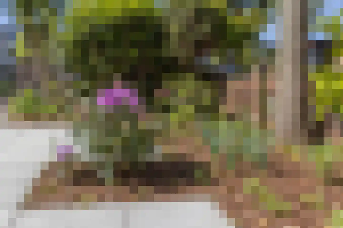 Zamenhofdreef 46 Utrecht thumbnail 48