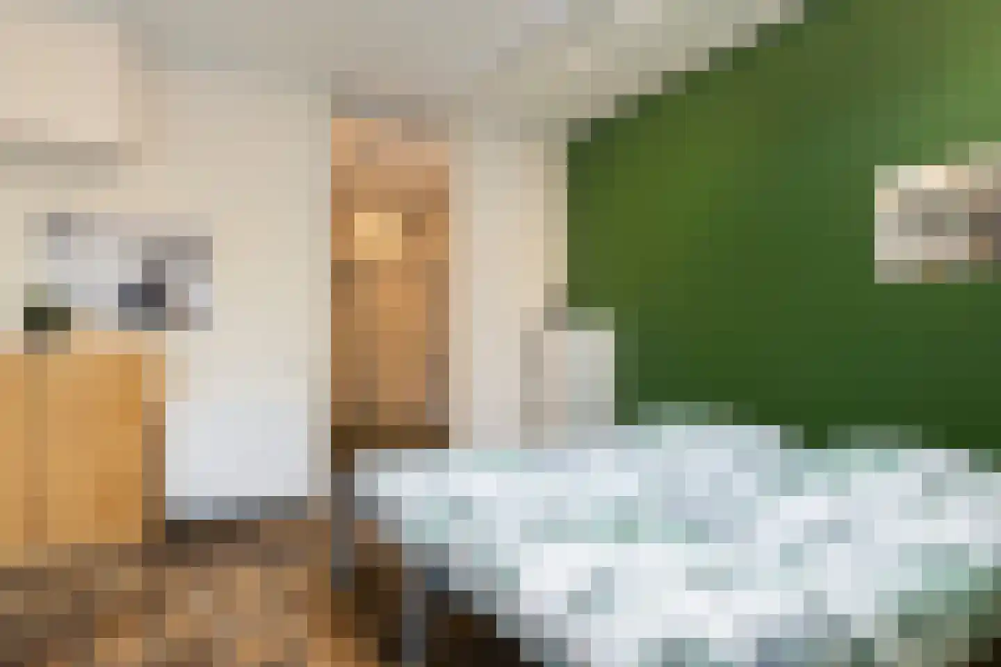 Zamenhofstraat 10 Roden thumbnail 21