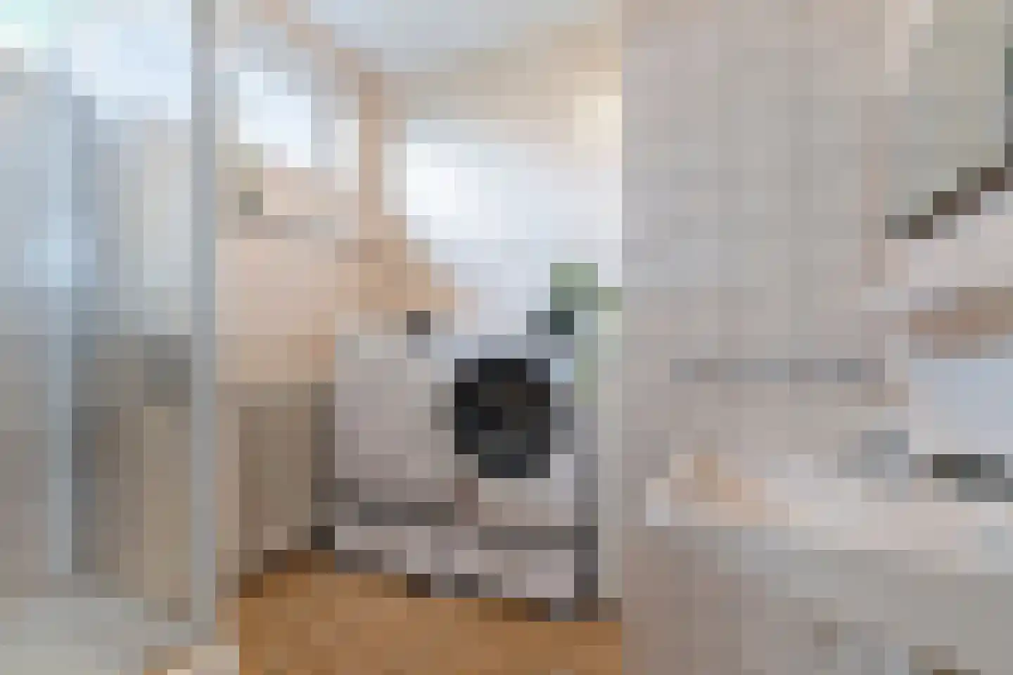 Zamenhofstraat 10 Roden thumbnail 30