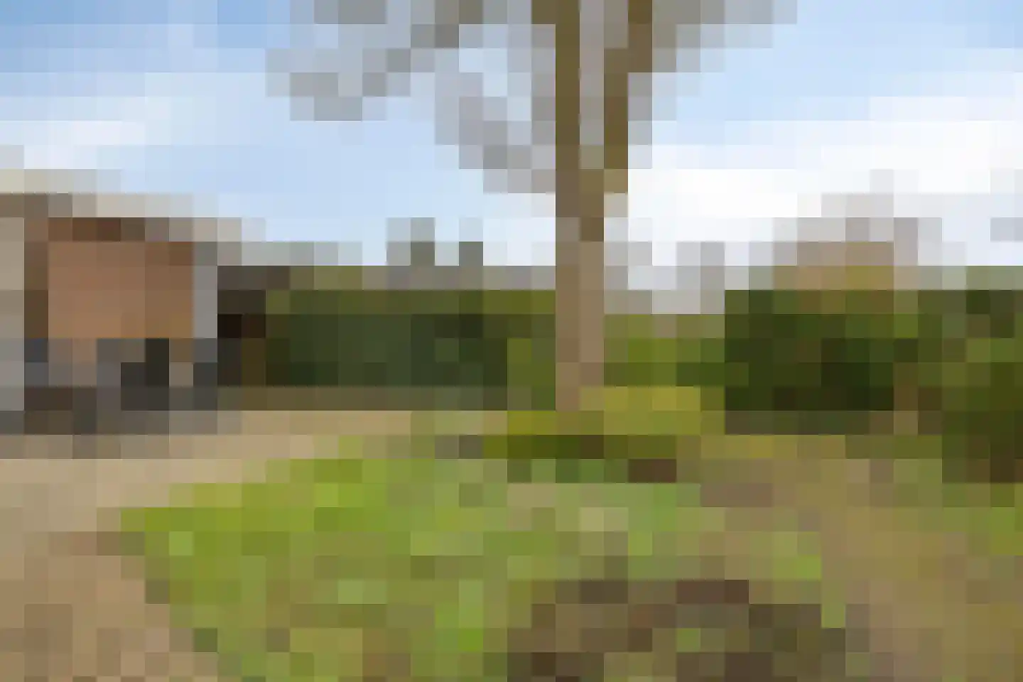 Zamenhofstraat 10 Roden thumbnail 41
