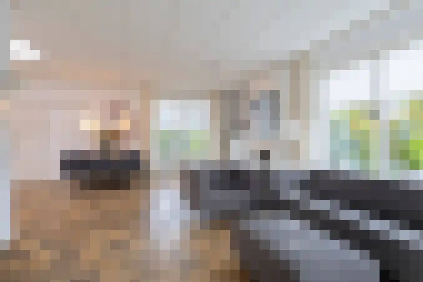 Zamenhofstraat 10 Roden thumbnail 9