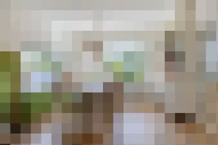 Zamenhofstraat 19 Roden thumbnail 7