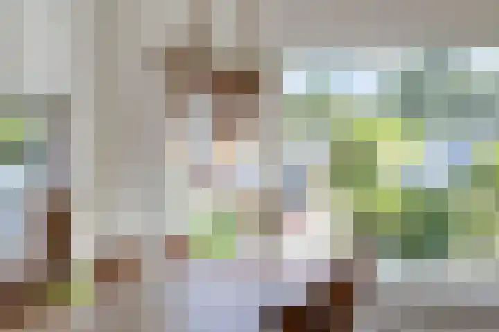 Zamenhofstraat 19 Roden thumbnail 8