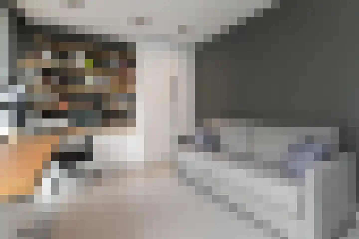 Zamenhofstraat 31 Den Haag thumbnail 25