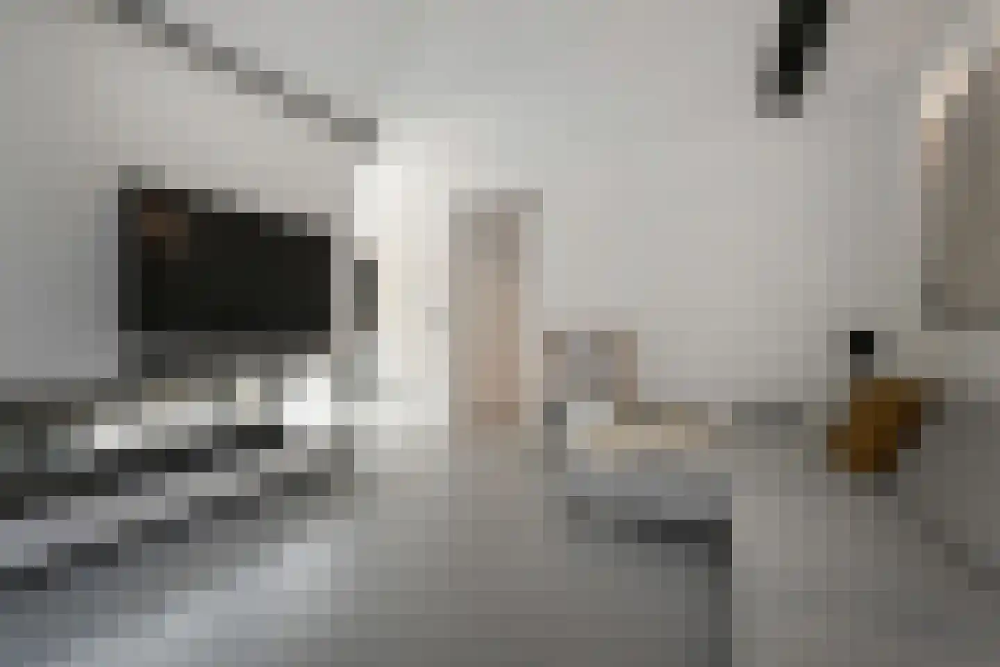 Zamenhofstraat 31 Den Haag thumbnail 8
