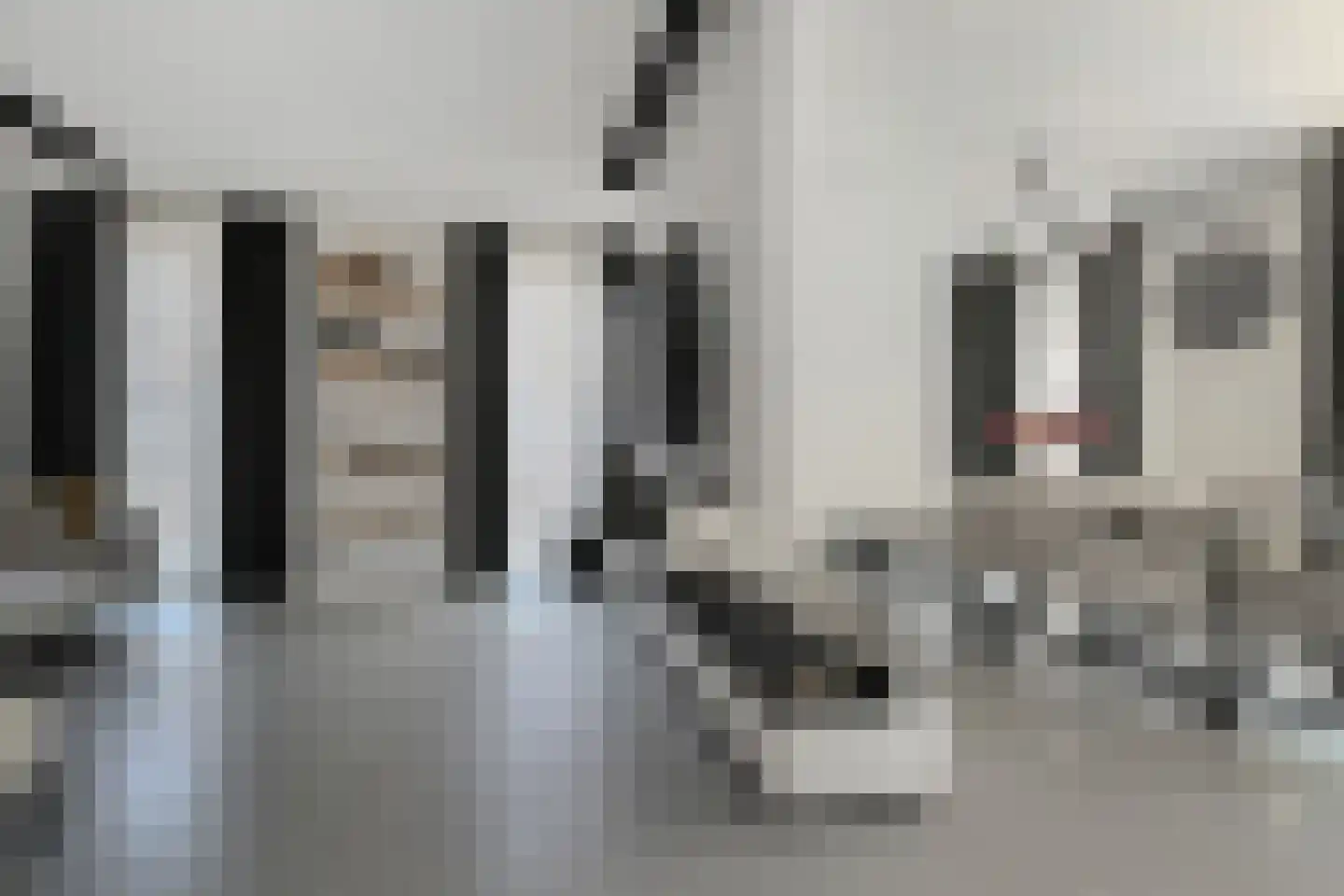 Zamenhofstraat 31 Den Haag thumbnail 9