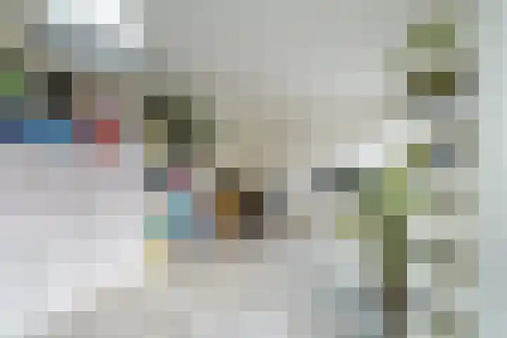 Zamenhofstraat 44 Den Haag thumbnail 6