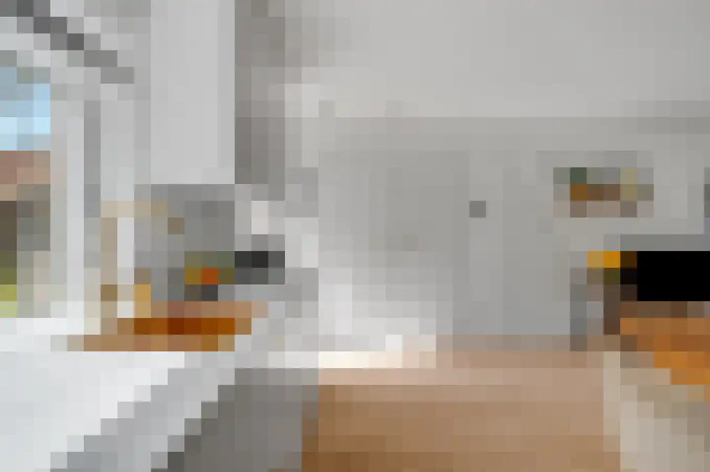 Zamenhofstraat 82 Amsterdam thumbnail 8