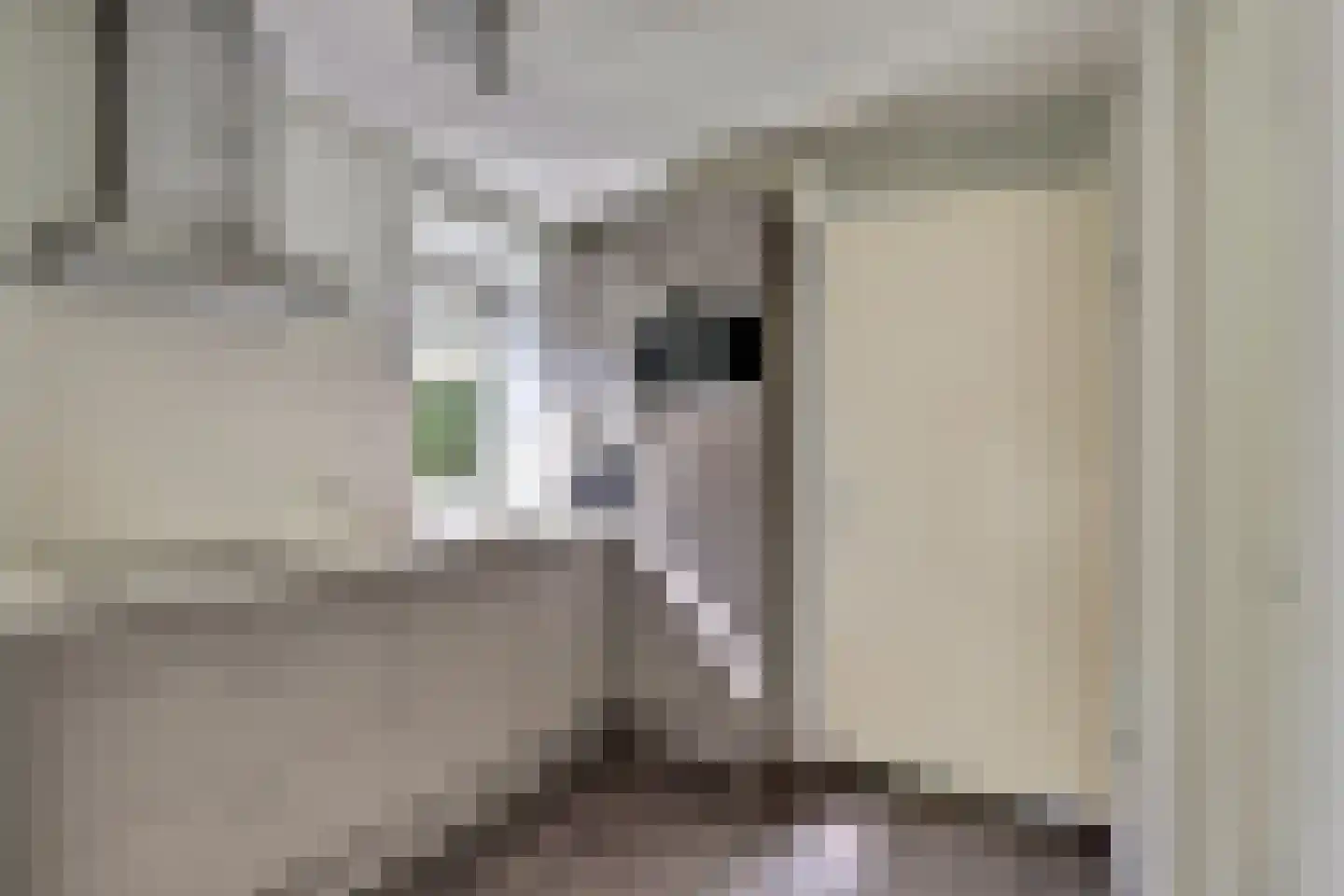 Zand 15 Kamperland thumbnail 13